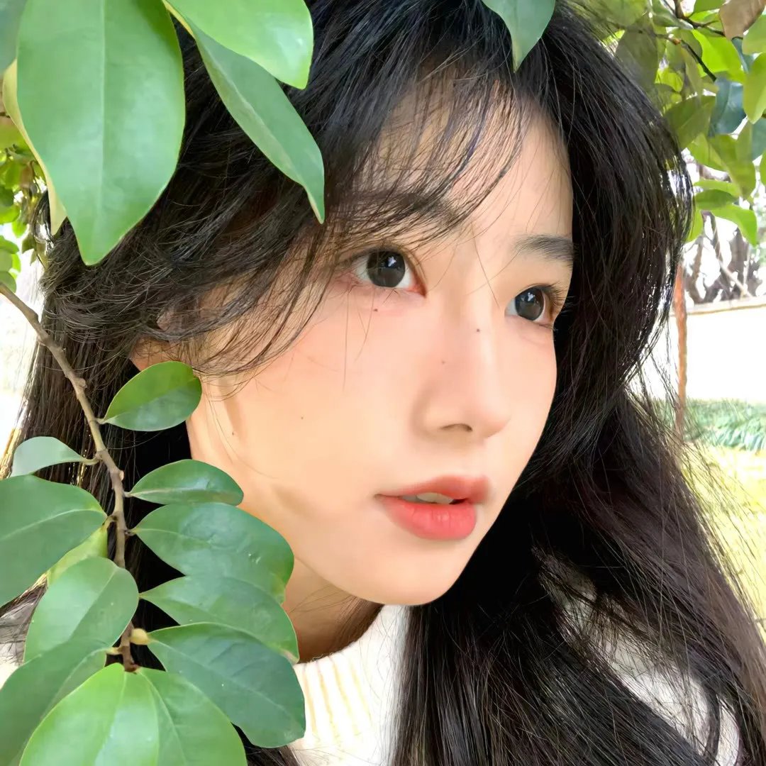 黄昏时分的朋友